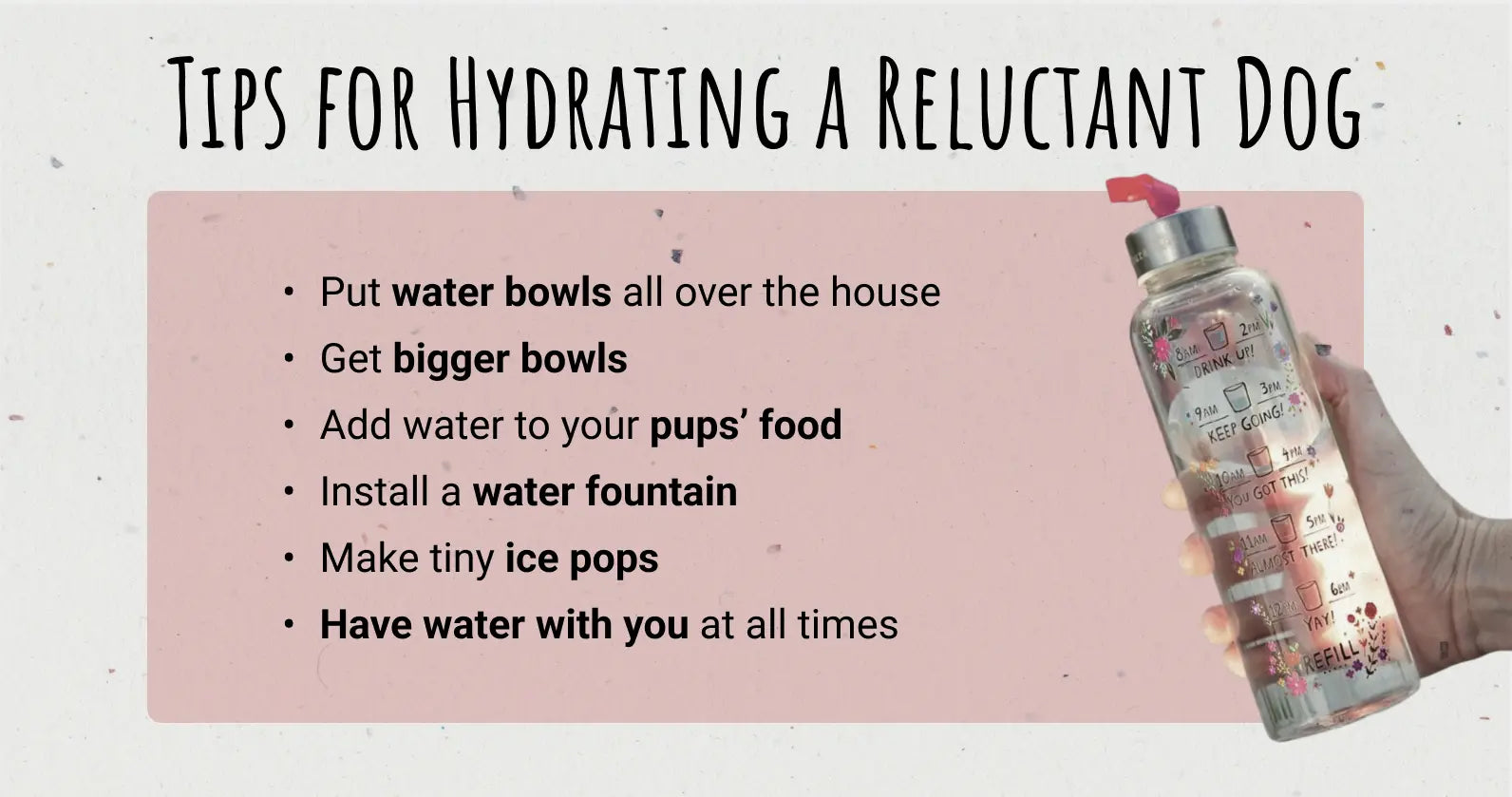 Dog Hydration Tips