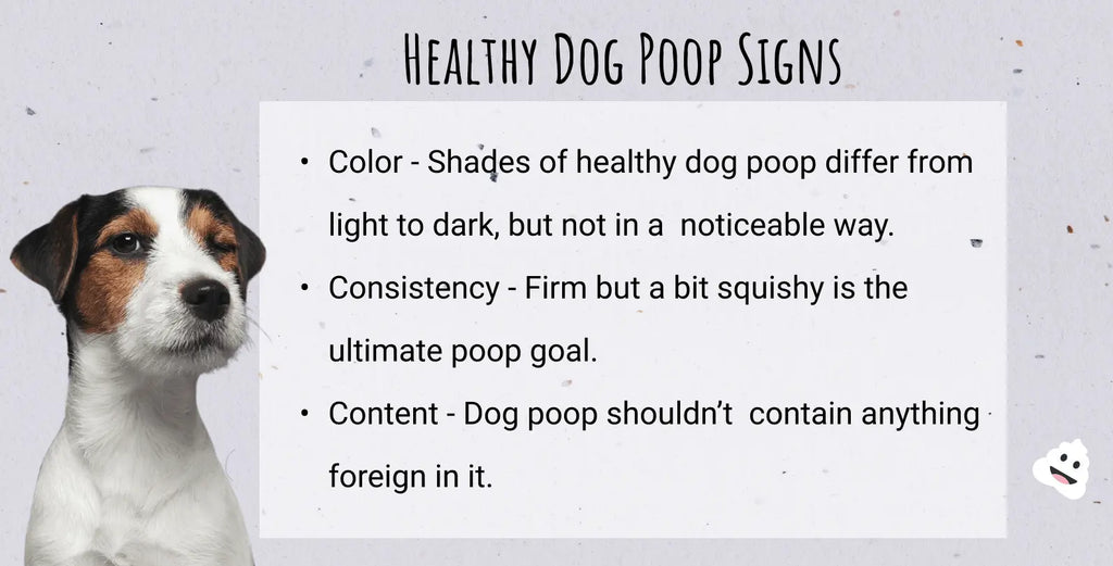 Healthy Dog Poop Signs