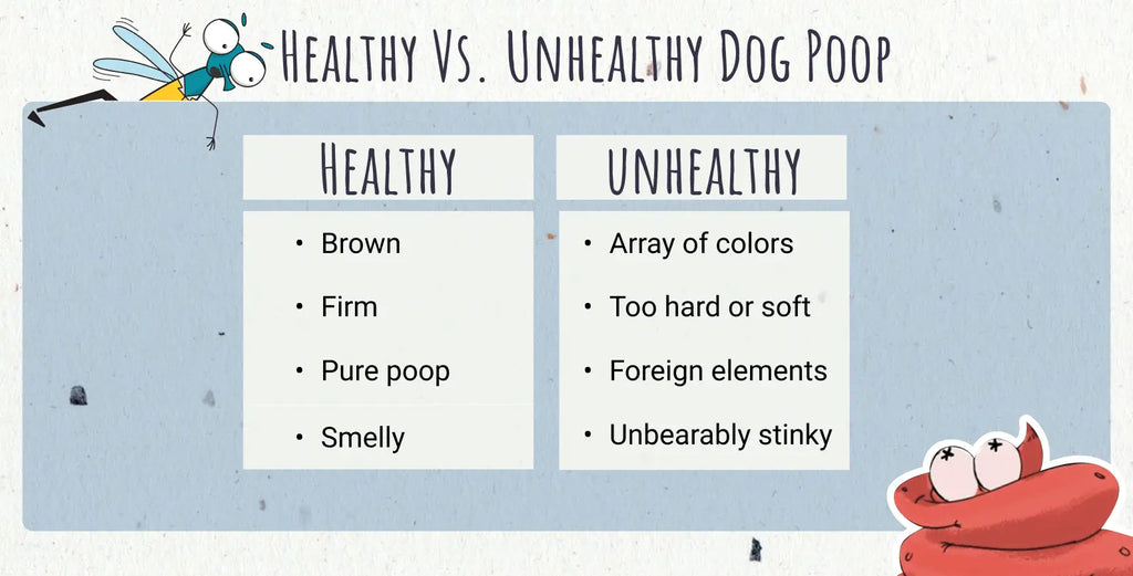 Healthy vs. Unhealthy Dog Poop