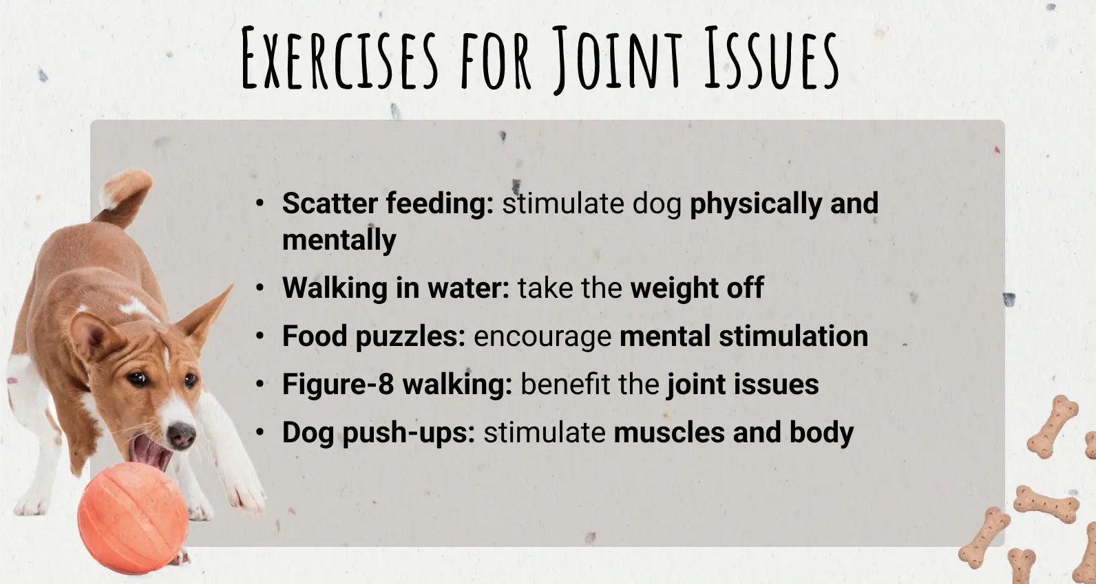 Old Dog Joint Exercise