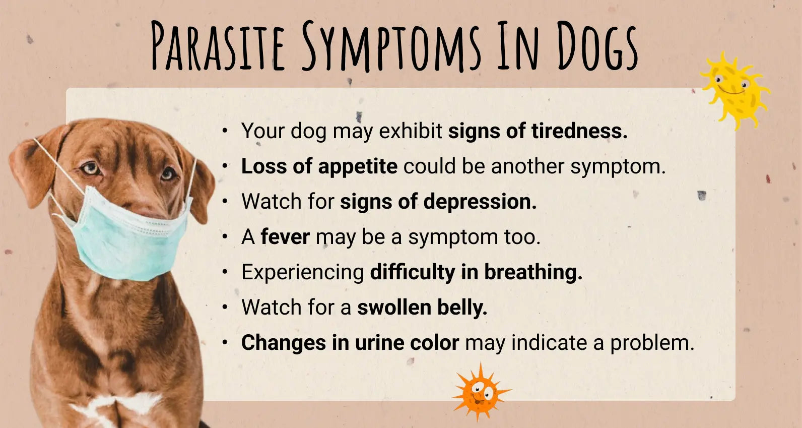 Parasite Symptoms in Dogs