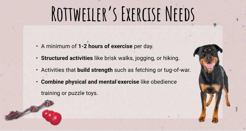 Rottweiler Exercise Requirements