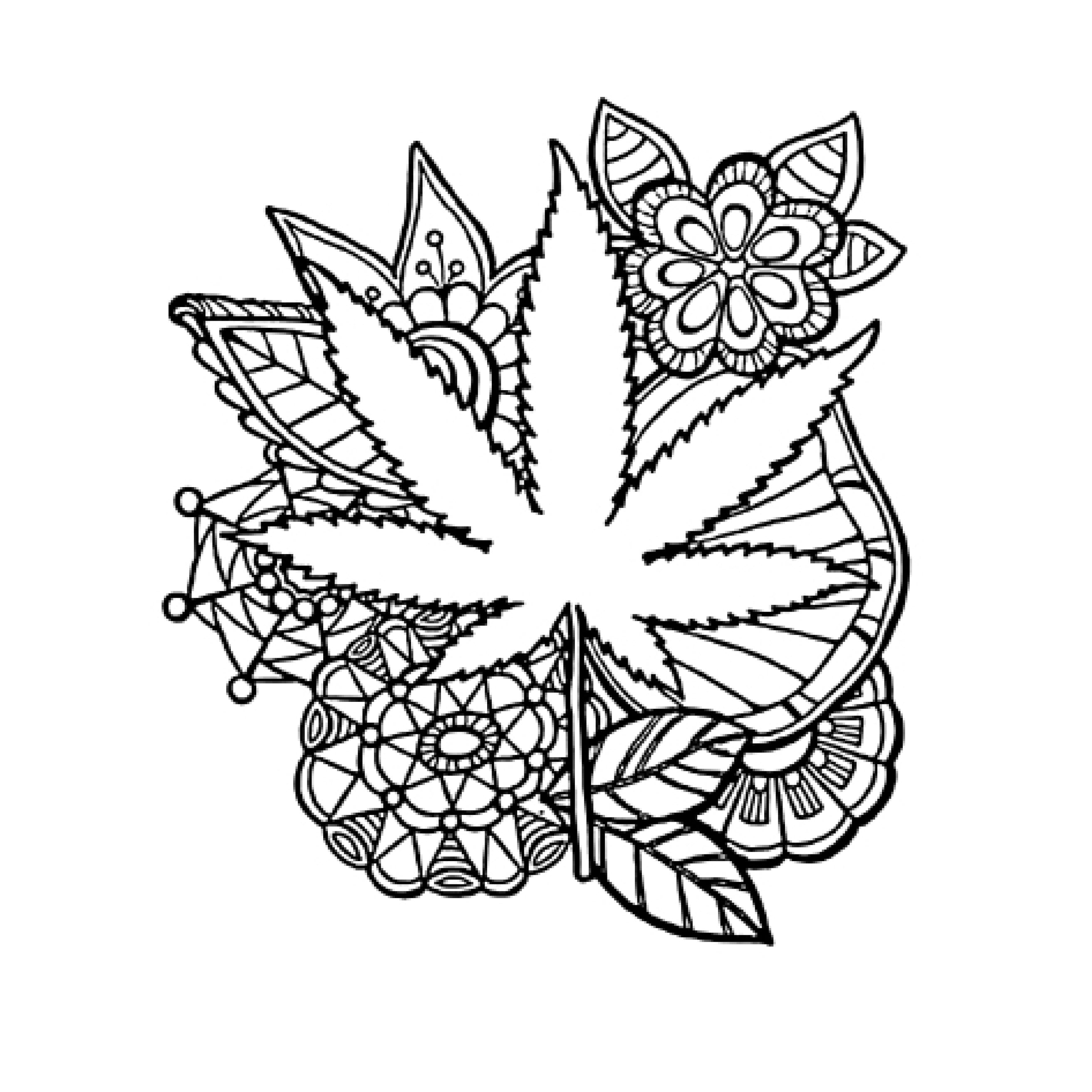 Lifted Leaf Adult Cannabis Colouring Book Volume 2 of Stash Magazine stashmagazine.ca