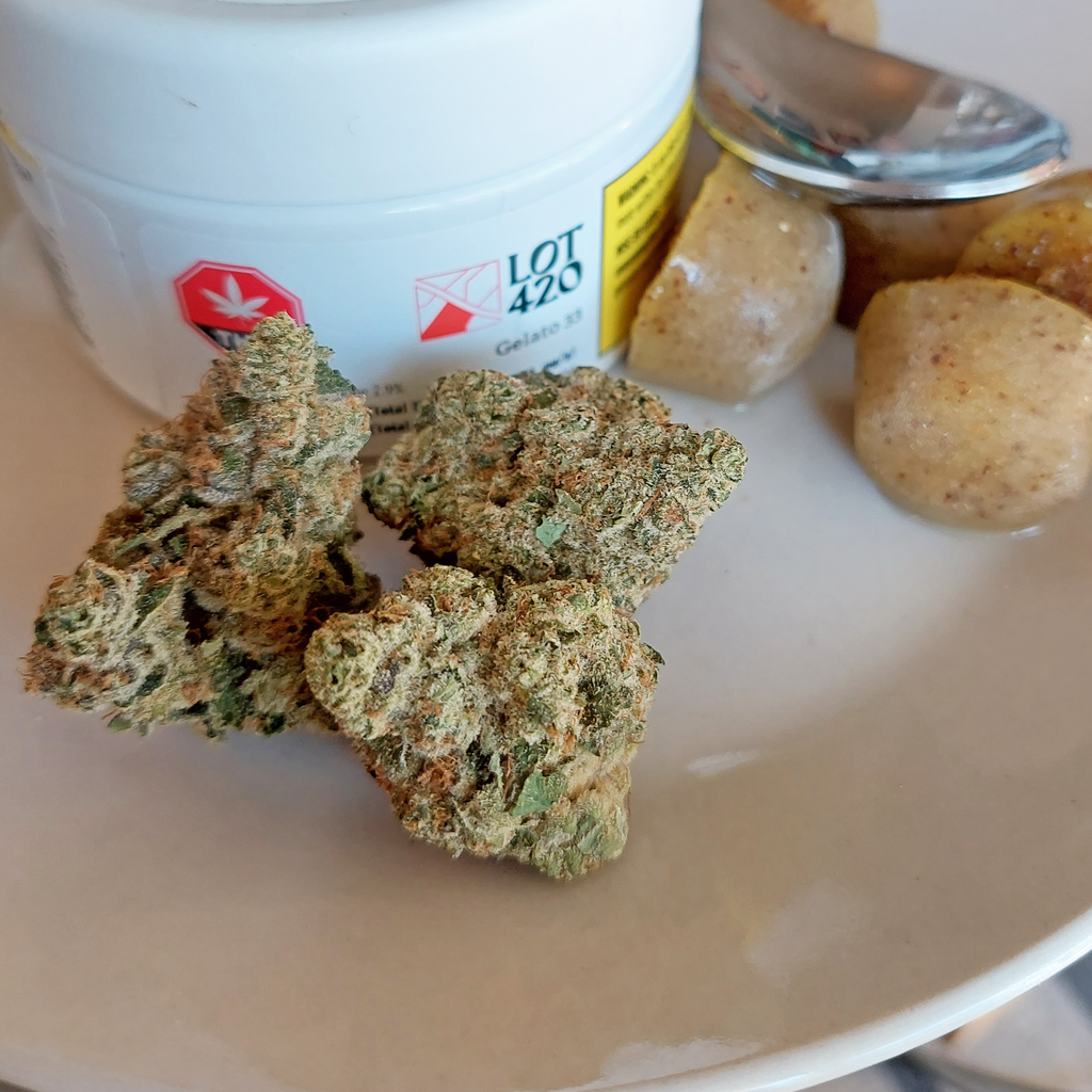 Gelato 33 by Lot 420 Cannabis Licensed Producer Quebec SQDC Indica Strain Cultivar Photos and Review by Stash Magazine Canada's Cannabis Lookbook - Volume 3 - stashmagazine.ca