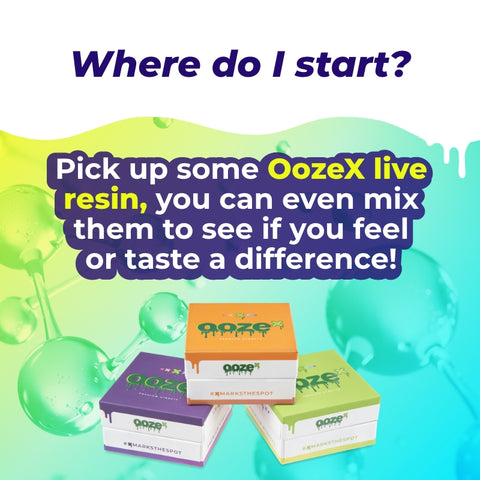 A blue graphic asks "Where do I start" and recommends using OozeX Live Resin concentrate for the entourage effect. There are 3 concentrate boxes stacked at the bottom.