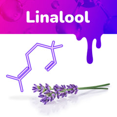 The Linalool graphic shows the terpene chemical structure and a bunch of lavender