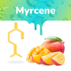 The Myrcene graphic shows the terpene chemical structure and a sliced mango