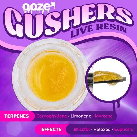 A purple OozeX Gushers Live Resin graphic shows the concentrates and indicates terpenes and feelings.