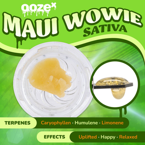 A green OozeX Maui Wowie sativa live resin graphic shows the concetrates in a jar and on a dab tool, and indicates terpenes and the effects.