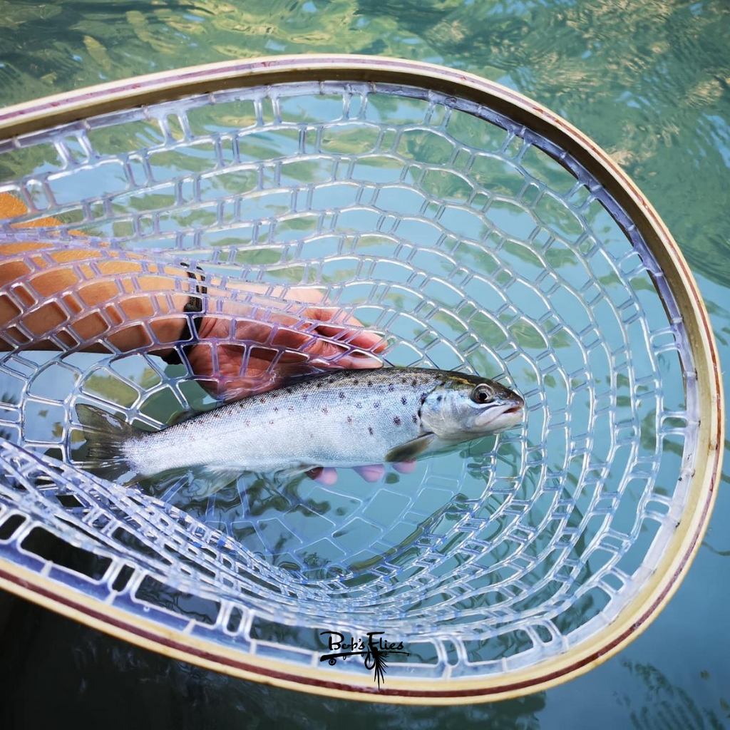 bachforelle fliegenfischen bobsflies