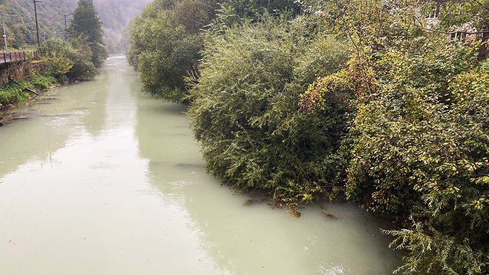  Fliegenfischen schweiz, fliegenfischen birs, fliegenfischen basel, fliegenfischen solothurn, fischen birs, bobsflies.ch, bob’s flies, bobsflies, fliegenfischen am bach, fliegenfsichen am fluss, fliegenfischen mit nymphe, fliegenfischen, claude kleiner