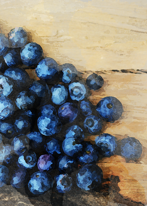 Heidelbeeren