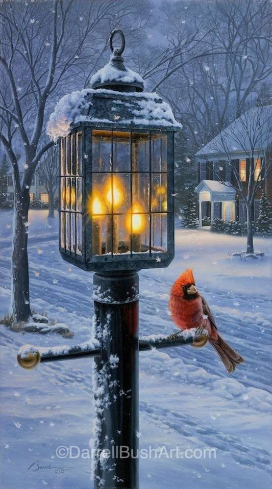 cardinals in winter scenes