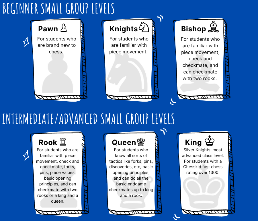 Group chess classes levels