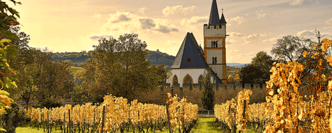 Weingut Baum-Barth, Weingut Baum Barth, Baum Barth Wein, Baum Barth, Baum-Barth, Weinhändler Freiburg