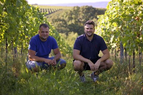 Weingut Baum-Barth, Weingut Baum Barth, Baum Barth Wein, Baum Barth, Baum-Barth, Weinhändler Freiburg