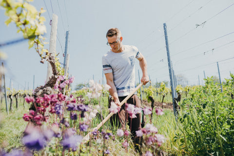 Weingut Schwegler, Aaron Schwegler, Weingut Albrecht Schwegler, Schwegler, Weinwelt, Meine Weinwelt, Werners weinwelt, Weinhandlung Freiburg