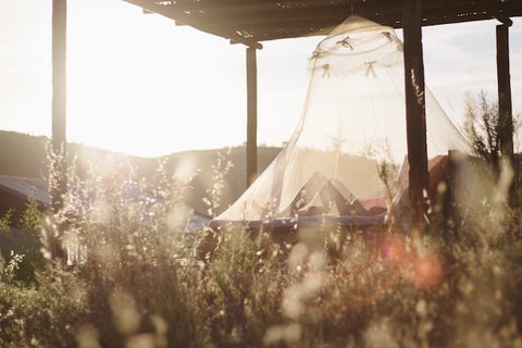 woman reading under a mosquito net