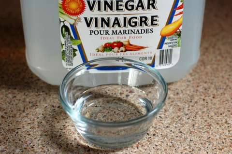 Gallon of white vinegar