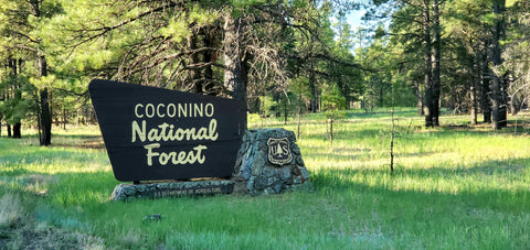 The Coconino National Forest is Arizona's favorite playground.