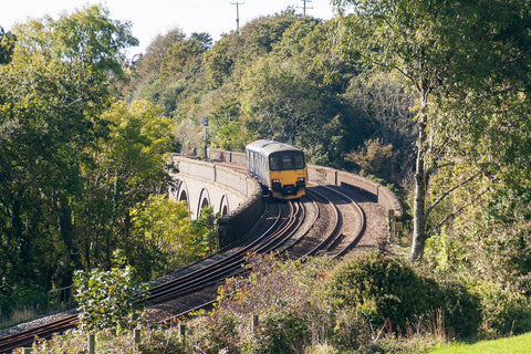 Train to Cornwall