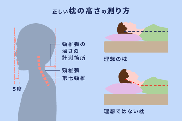 正しい枕の高さの測り方