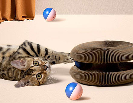 Interactive Deformable Cat Toy with Bell Ball