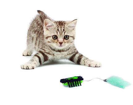 Hexbug Nano Robotic Cat Toy