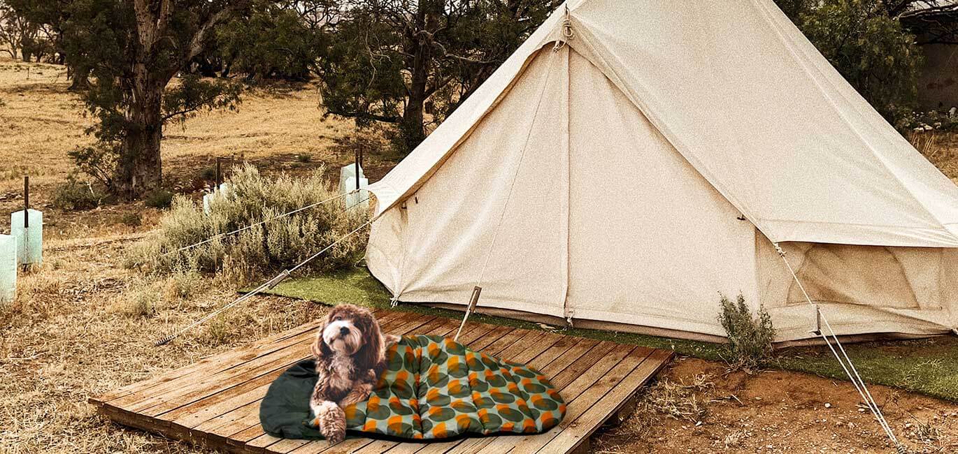 Lepeto adventure dog sleepping bag made for camping with your dog