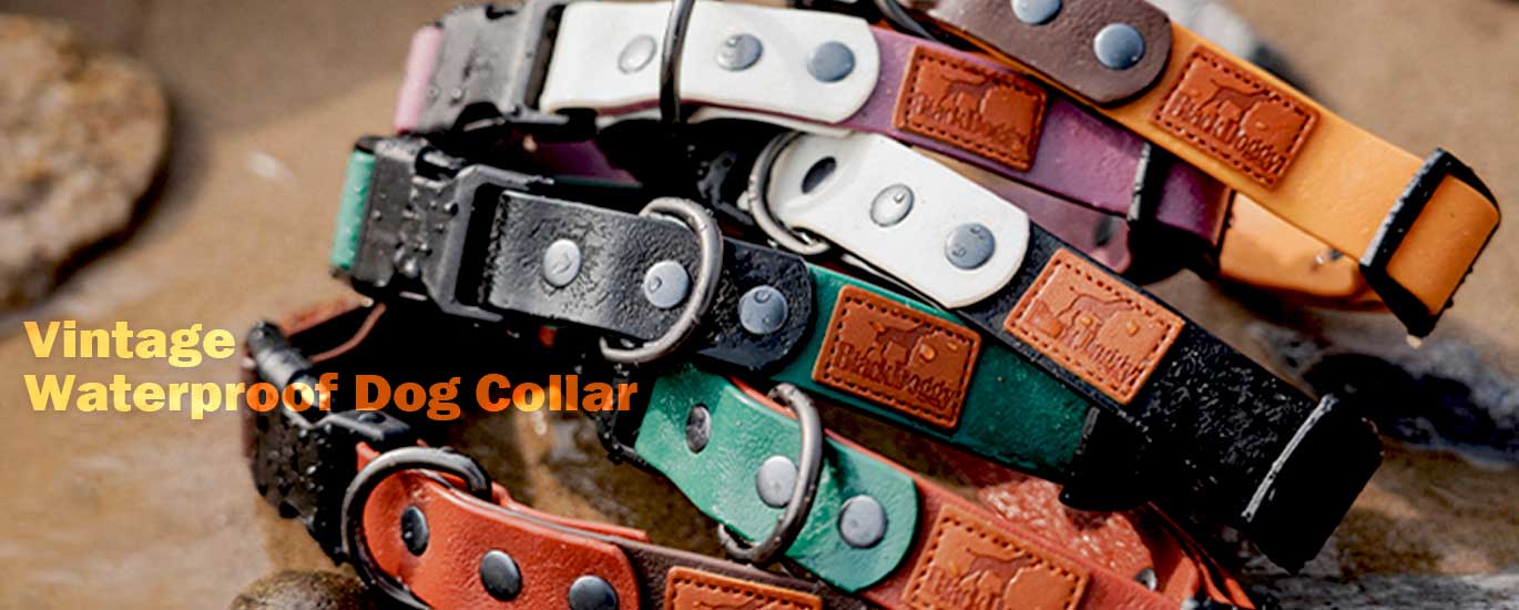 description the colors of vintage waterproof dog collar