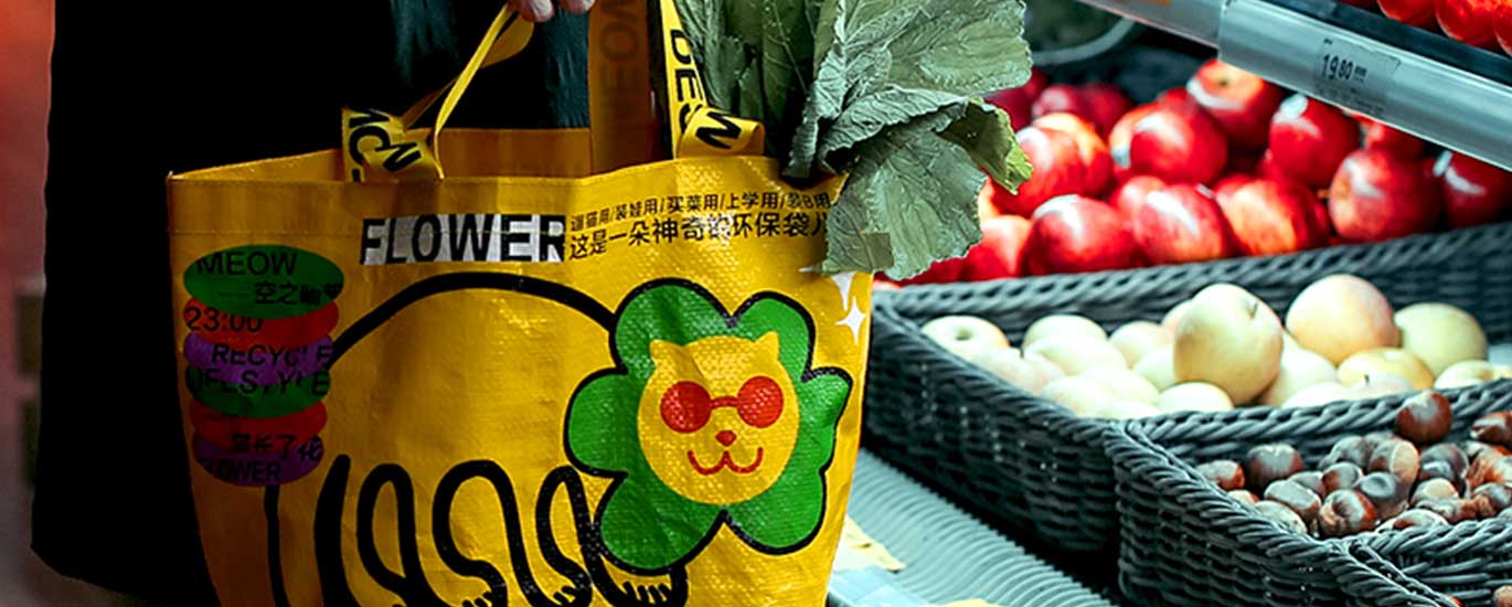 funny cat grocery bag holding vegetable