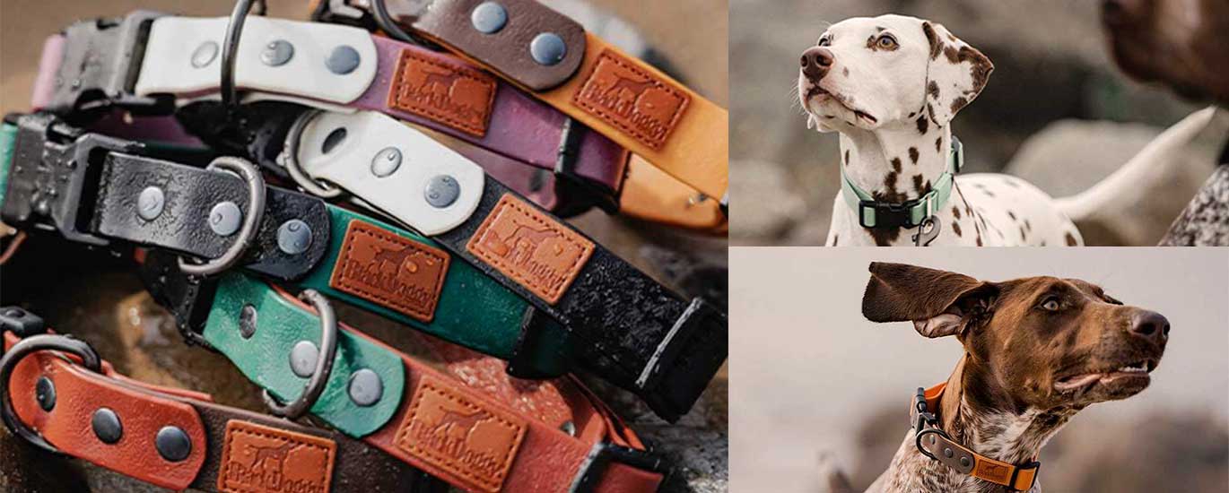 waterprood dog collars