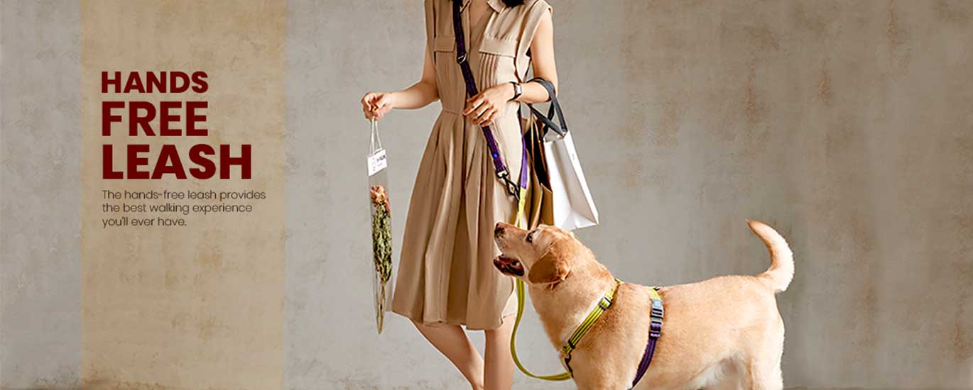 women and golden retriever with hands free leash