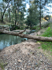 Warrumbungles Mountain Hipcamp 