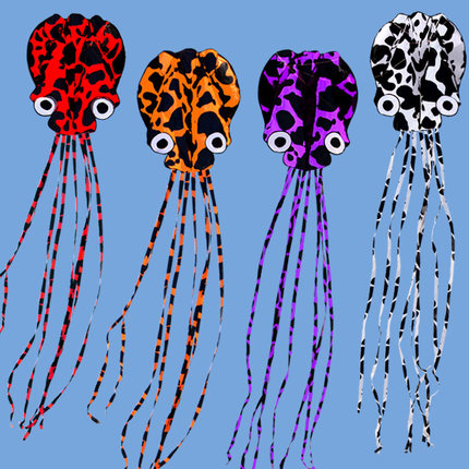 best selling 5m octopus kite – HengDa Kite