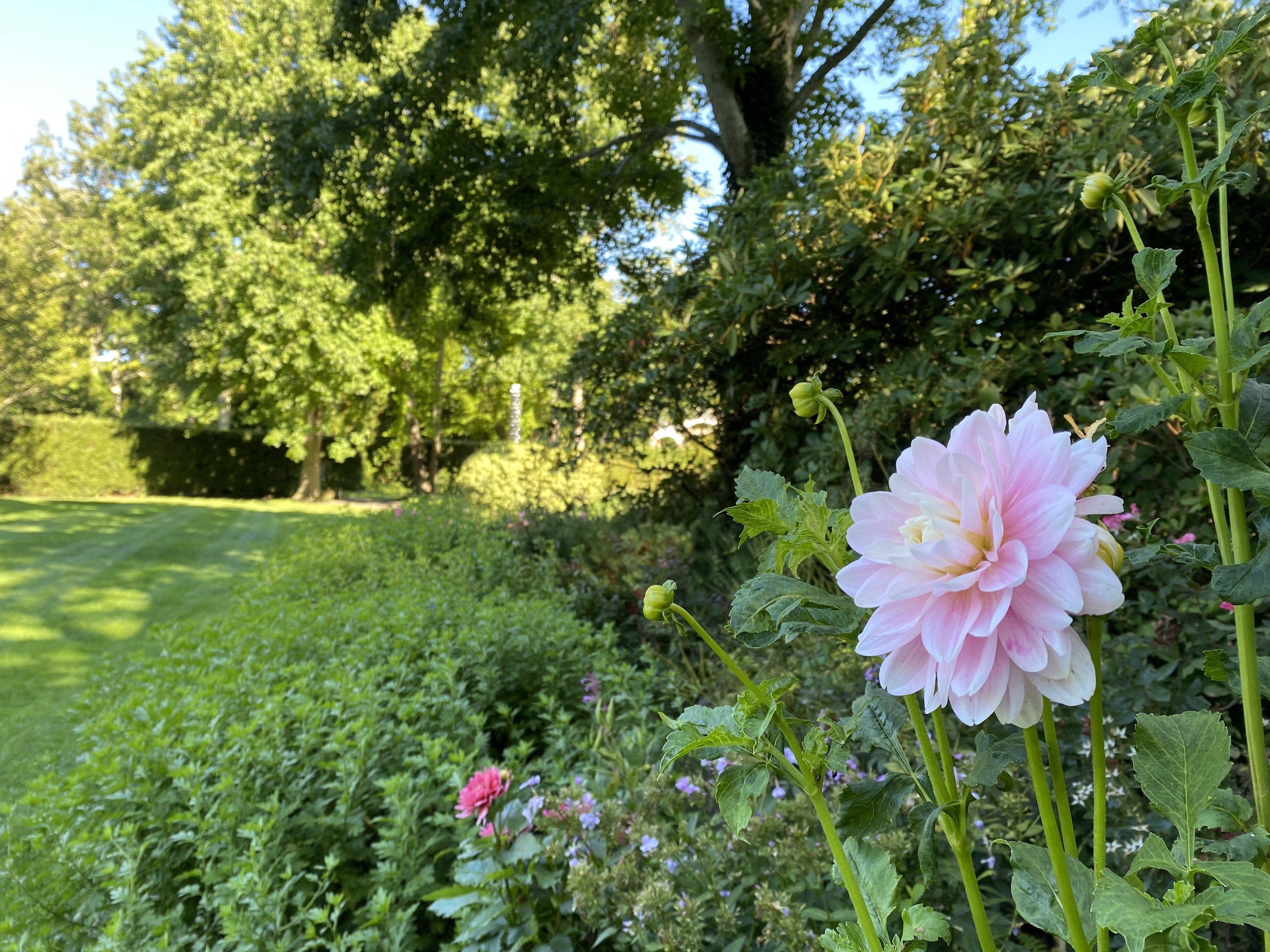 The Splendors of September Garden Walk