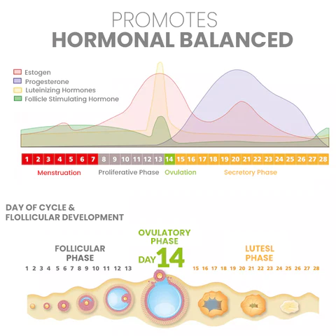 Sunnaturely™ Graphene Honeycomb Vaginal Tightening & Body Shaping Briefs