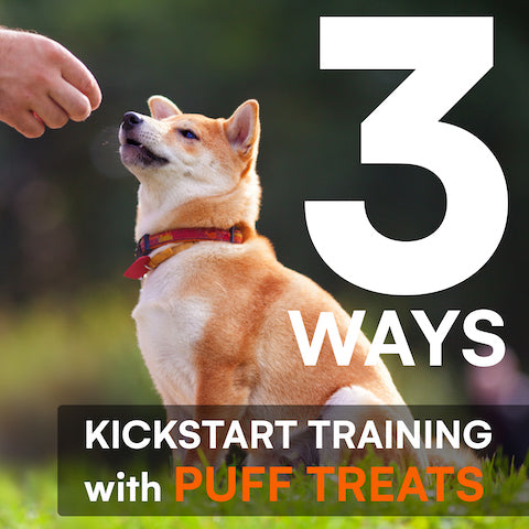 Training new dog with Raw Dog punkin puff dog treats on grass park field