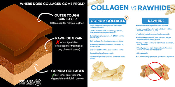 Corium Collagen breakdown