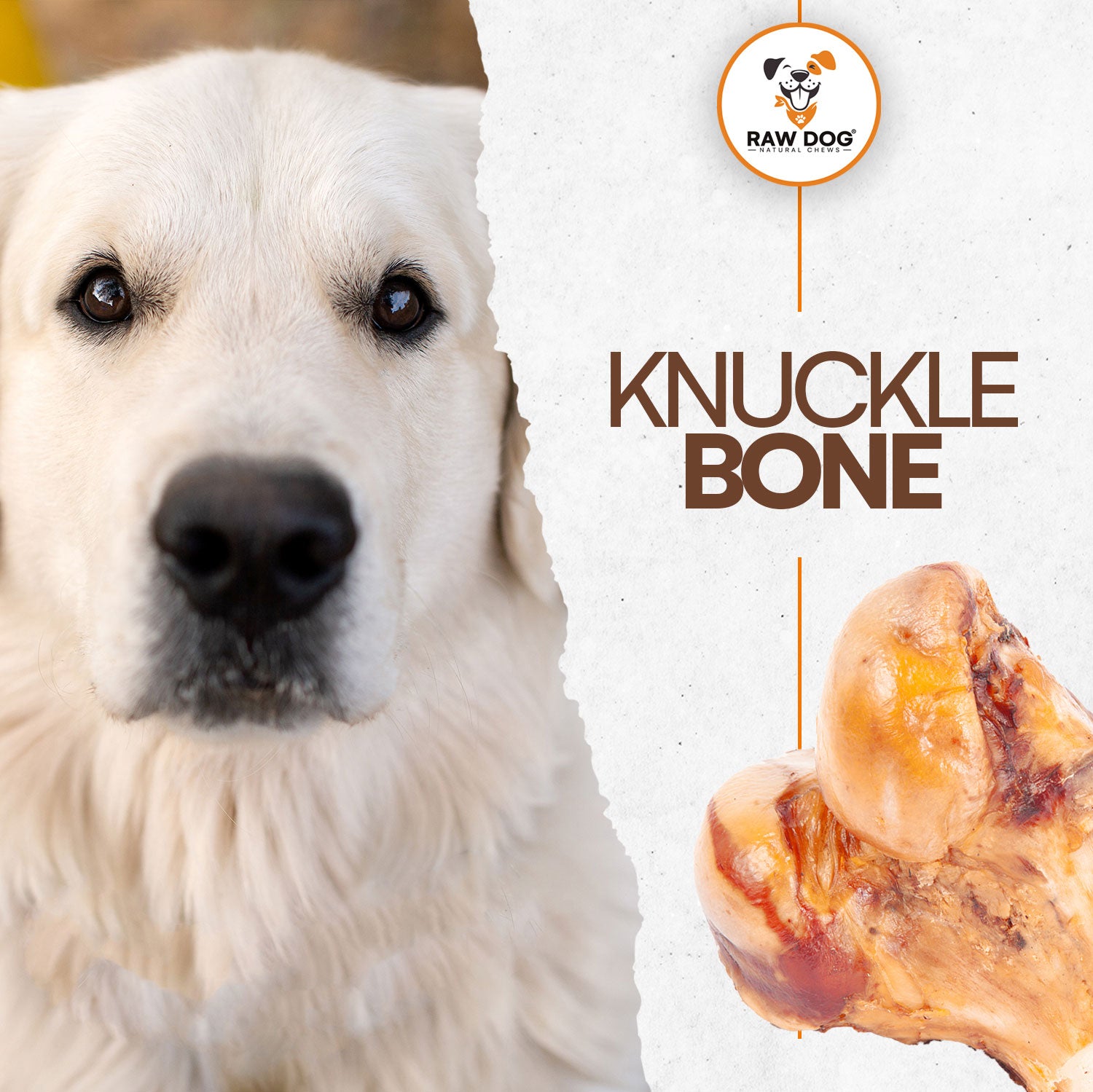 are beef knuckles bad for dogs