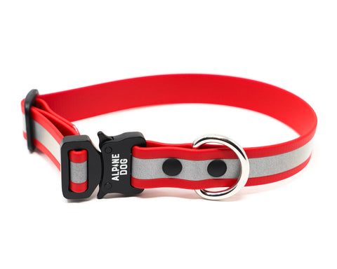 1 Cobra Quick Release Buckle Collar – Canine Outfitters