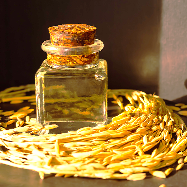 Rice bran oil