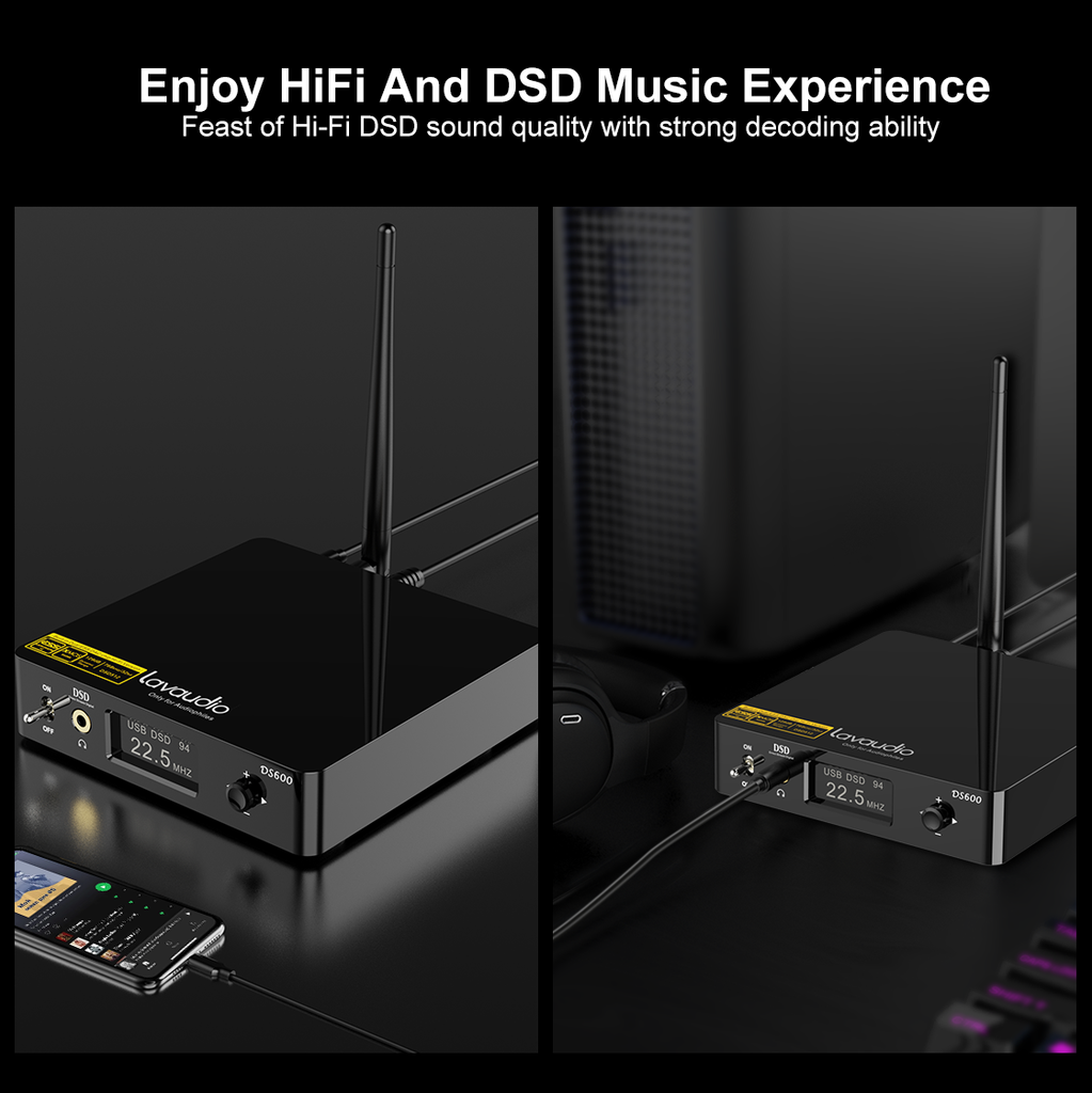 Enjoy HiFi and lossless DSD music experience