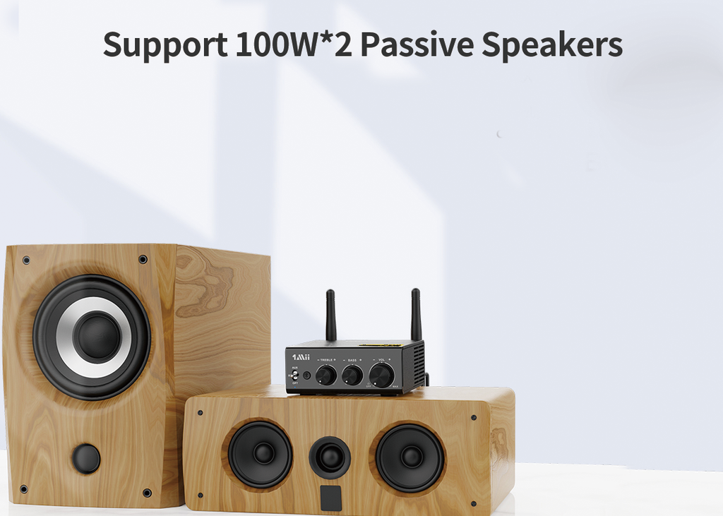 Support 50W*2 Passive Speakers