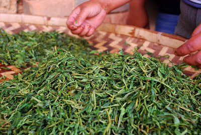 Warm & sticky leaves