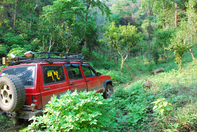 Chong Kyong Won's signature red jeep