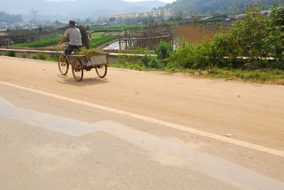 The road through Menghai