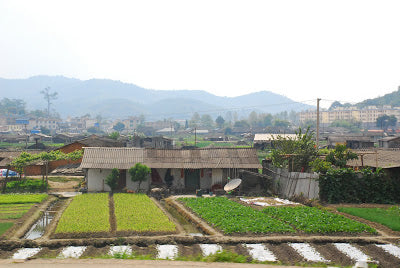 Menghai township