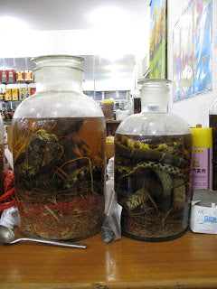 Local rice wine infused with snake, ginseng & gou qi