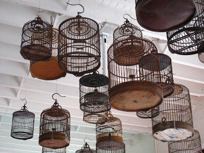 Bird cages hanging from the ceiling of the White Rabbit tea shop